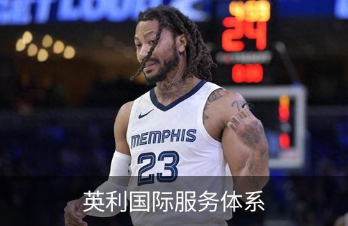 英利国际服务体系介绍
